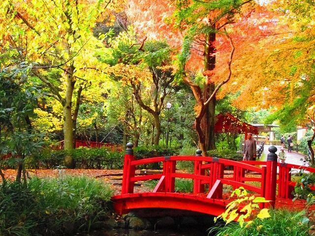 Hakone Pacific酒店 外观 照片