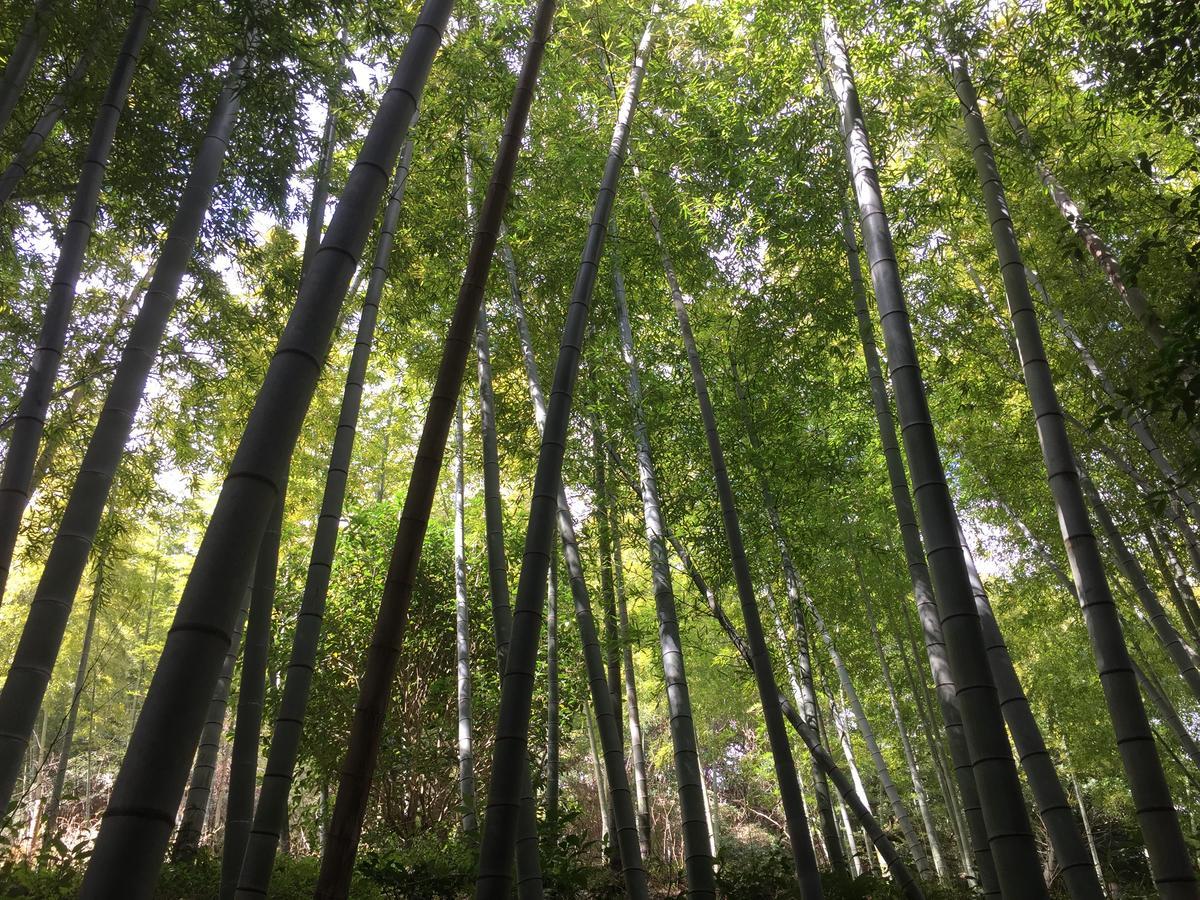 Hakone Pacific酒店 外观 照片