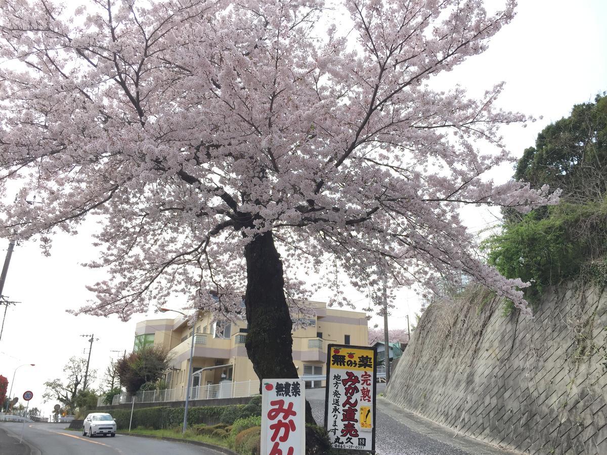 Hakone Pacific酒店 外观 照片