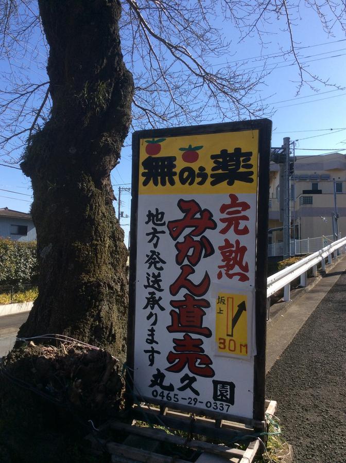 Hakone Pacific酒店 外观 照片